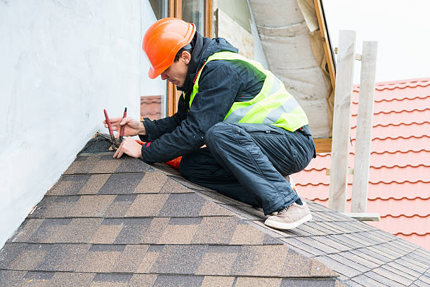 Roof Gutter Cleaning in Grand Island, NE
